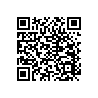 衛(wèi)生間馬桶旁邊的扶手怎么安裝？【藍(lán)品盾】