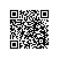 衛(wèi)生間上翻式扶手廠家直銷免費(fèi)取樣【藍(lán)品盾】