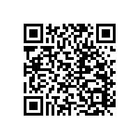 衛(wèi)生間無(wú)障礙安全扶手的安裝布局方式【藍(lán)品盾】