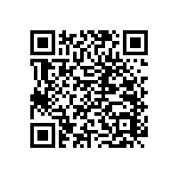 衛(wèi)生間無(wú)障礙扶手的類(lèi)型【藍(lán)品盾】