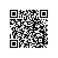 衛(wèi)生間無障礙扶手-藍(lán)品盾