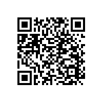 衛(wèi)生間無(wú)障礙扶手/雙管設(shè)計(jì)便于借力【藍(lán)品盾】