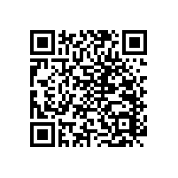 衛(wèi)生間無障礙輔助扶手還能有這樣的款式？【藍(lán)品盾】