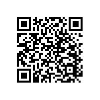 衛(wèi)生間新款丨無障礙實木防護(hù)扶手