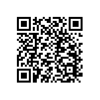 衛(wèi)生間折疊扶手掛墻式設(shè)計(jì)不占空間【藍(lán)品盾】