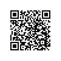 衛(wèi)生間專用衛(wèi)浴折疊扶手-上翻更方便【藍(lán)品盾】