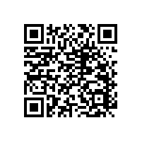 【溫文儒雅】衛(wèi)生間扶手木制