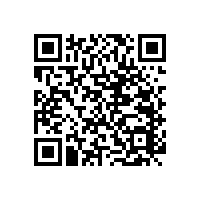 衛(wèi)浴安全扶手怎么安裝省空間？【藍(lán)品盾】