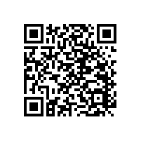 衛(wèi)浴扶手哪家好 廣州藍(lán)品盾廠家廠價(jià)直銷