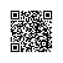 衛(wèi)浴扶手哪家好 有什么挑選技巧嗎