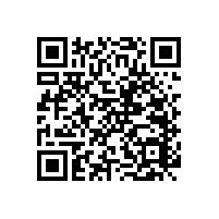 無障礙扶手安全守護每一天【藍品盾】