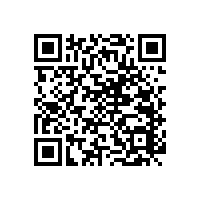 無障礙扶手-可調(diào)節(jié)扶手，隨心適配【藍(lán)品盾】