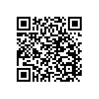 無障礙扶手/尼龍扶手的生產(chǎn)廠家--藍(lán)品盾