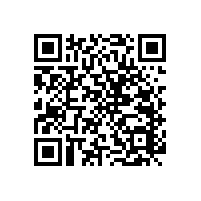 無障礙扶手-適合小便器安裝的款式【藍(lán)品盾】