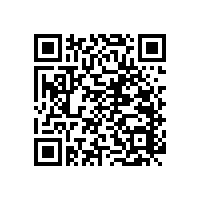 無(wú)障礙輔助實(shí)木扶手的諸多功能【藍(lán)品盾】