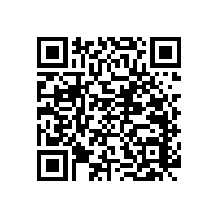 無(wú)障礙輔助實(shí)木扶手實(shí)用多功能款【藍(lán)品盾】