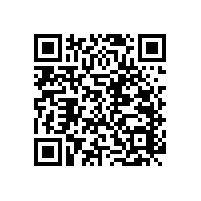 無障礙公廁扶手&安全抓桿廠家-藍品盾