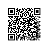 無障礙老人扶手/耐污處理/色澤均勻【藍品盾】