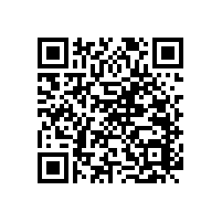 無障礙馬桶扶手便捷省空間【藍(lán)品盾】