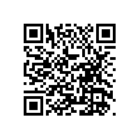 無障礙通道扶手6000家客戶選擇【藍(lán)品盾】