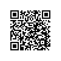 無(wú)障礙衛(wèi)生扶手省空間多功能款式【藍(lán)品盾】