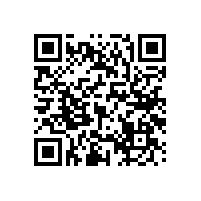 無障礙衛(wèi)生間防滑扶手月月上新品【藍品盾】