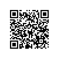 無障礙衛(wèi)生間扶手-手感舒適【藍品盾】