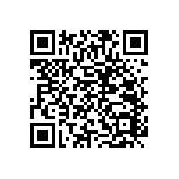 無障礙衛(wèi)生間扶手使用場景搭配-藍(lán)品盾