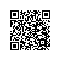 【無障礙】衛(wèi)生間里的扶手工廠