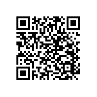 無障礙衛(wèi)生間洗漱池扶手不可忽視【藍(lán)品盾】