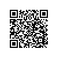 無障礙醫(yī)用扶手研發(fā)出多少款式？【藍(lán)品盾】