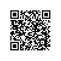 無障礙坐便器不銹鋼扶手【藍品盾】