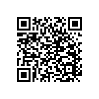 “溫州”尼龍無障礙扶手，藍(lán)品盾這里一定有您想要的！