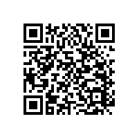 西安殘疾人服務(wù)中心定制新款無障礙扶手【藍品盾】