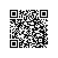 西安市哪個市場買衛(wèi)生間扶手，藍品盾告訴您！