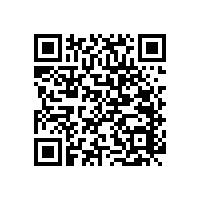 【新疆伊寧】2000多米的PVC防撞扶手剛剛安裝完工