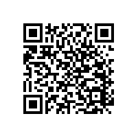 【新款】不銹鋼一字型扶手，花紋多樣可選