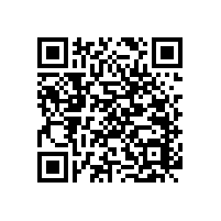 洗手間安全扶手哪種款式“好”【藍(lán)品盾】