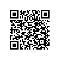 移動(dòng)無(wú)障礙扶手成為“老齡化的必需品”【藍(lán)品盾】