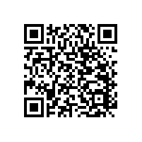 幼兒園可以定制的衛(wèi)生間扶手款式有哪些？【藍品盾】