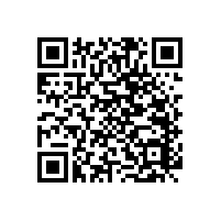 幼兒園衛(wèi)生間殘疾人扶手有哪些款式？