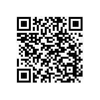 幼兒園無(wú)障礙扶手可定制款式與顏色【藍(lán)品盾】