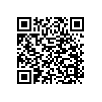 預(yù)防廁所跌倒、摔傷的小工具-殘疾人衛(wèi)生間墻上扶手