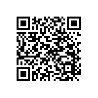 預(yù)防老年人摔倒推薦安裝無障礙扶手【藍(lán)品盾】