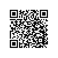 有了廁所蹲起扶手為老人晚年生活保駕護(hù)航【藍(lán)品盾】