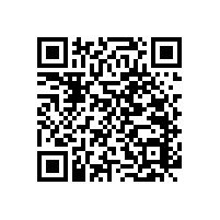 養(yǎng)老院、福利院受歡迎的款式--L-35款實木防撞扶手【藍品盾】