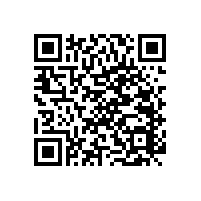養(yǎng)老院及醫(yī)養(yǎng)機構(gòu)比較重視的無障礙衛(wèi)生間扶手設(shè)置-藍品盾