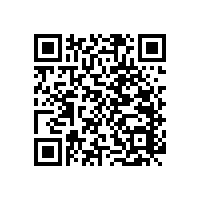 養(yǎng)老院為什么一定要安裝衛(wèi)生間扶手呢？--藍(lán)品盾