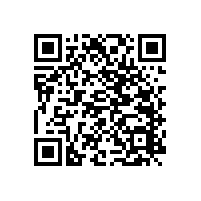 浴室不銹鋼直角扶手