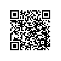 浴室防滑扶手/輕松借力/預(yù)防不測【藍(lán)品盾】